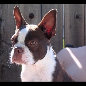 Meet your Posher, Kylee